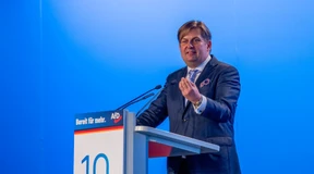 AfD zieht mit Krah als Spitzenkandidat in Europawahl