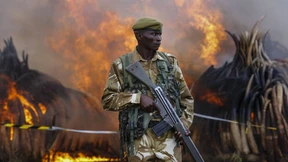 Im Busch ist ein High-Tech-Krieg entbrannt