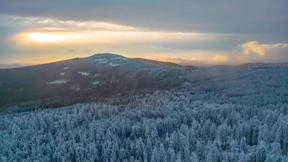 Keine Hoffnung auf weiße Weihnachten
