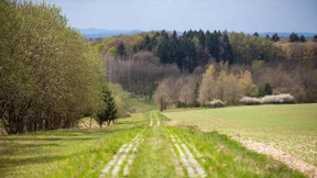 Ist doch schön hier