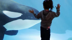 Notausgang Zoo: Wohin muss die Reise gehen?