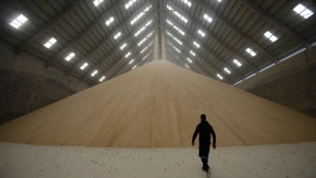 Zuckerpreis auf historischen Hochs