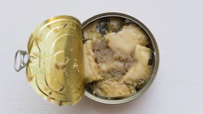 Maultaschen im Weltraum