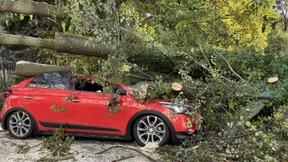Umgeknickte Bäume versperren Straßen und beschädigen Autos