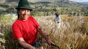 Bioqualität gegen Armut