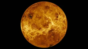 Mögliches Leben auf der Venus versetzt Forscher in Aufregung