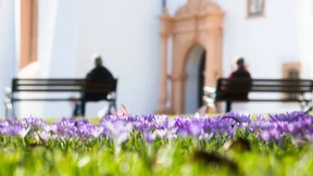 Frühlingshafte Temperaturen verabschieden sich