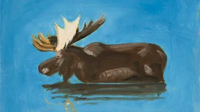 Eine Trasse in die sichere Zukunft