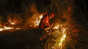 Brasilien registriert Rekordwaldbrände