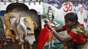 Mehr Fluch als Segen