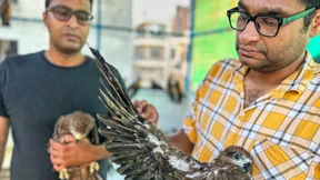 „Für uns ist es eine Belohnung, wenn sie wegfliegen“