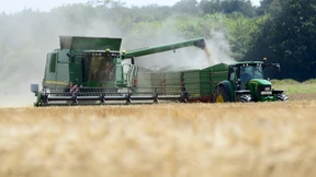 Wildschweine, Starkregen und sinkende Preise