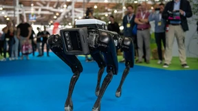 Roboterhunde und intelligente Autos