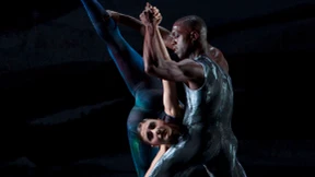 Neu bewegte Gemälde erobern den Schwanensee 