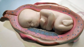 Ein Fall von biopolitischem Ungehorsam