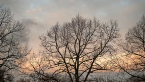 „Ich fühle mich in meine Patienten ein“