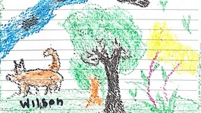 Kolumbien bangt um Lieblingshund Wilson