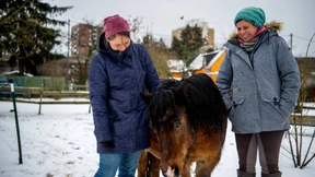 Chantal und der Gilbweiderich