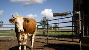 Systemwechsel verpasst