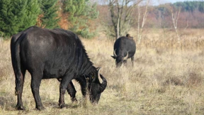 Willkommen in der Neonatur