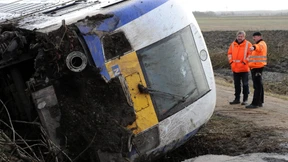 Triebwagen rast in Rinderherde