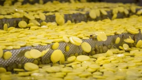 Da hast du den Salat