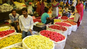 Eine Torte für eine historische Steuerreform in Indien