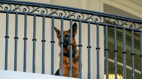 Der First Dog muss abermals umziehen