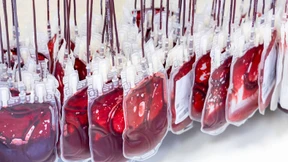 Blut, Geld und Tränen