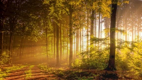 Robuste Begleiter für die Wandertour