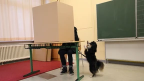 Die Hundejahre der SPD