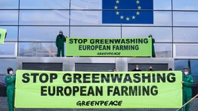 Deutschlands strenge Vorgaben gegen Grünfärberei sollen EU-Regeln prägen