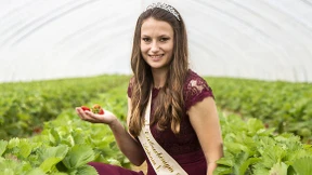 Die süßen Früchte werden teurer