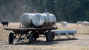 Cool bleiben, Bauern!