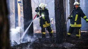Waldbrandgefahr erreicht höchste Stufe
