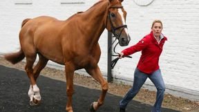 „Er weiß, dass er ein Schöner ist“