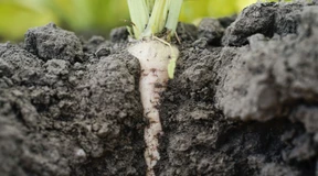 Dax wieder unter 16.000 Punkte