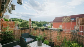 Balkon-Gemüse für Anfänger