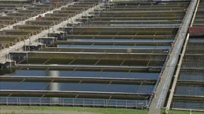 Coronaviren im Abwasser erkennen