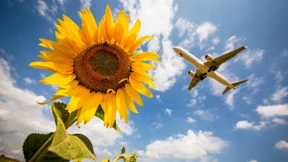 Grüne wollen Inlandsflüge bis 2035 überflüssig machen