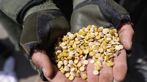 Wie das Land zum Drogenstaat wurde