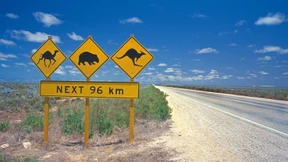 Stöbern Sie durch Reise- und Flug-Angebote für Ihren Traumurlaub in Australien!