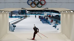 Wie viele Medaillen holen die Deutschen in Südkorea?