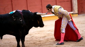 Stierkämpfe in Frankreich bleiben erlaubt