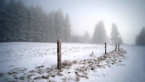 Wind und Nebel an Heiligabend