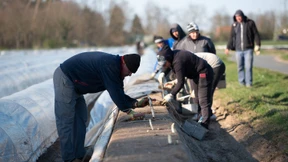 Zehntausende wollen auf dem Feld helfen