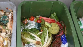 Hessen nutzen Biotonne besonders ausgiebig