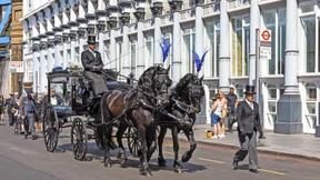 Begräbnis für den Begräbnis-Sparplaner