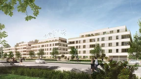 Nied wächst bis an den Main