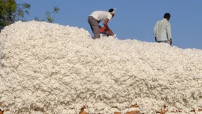 Bessere Wolle für eine bessere Zukunft